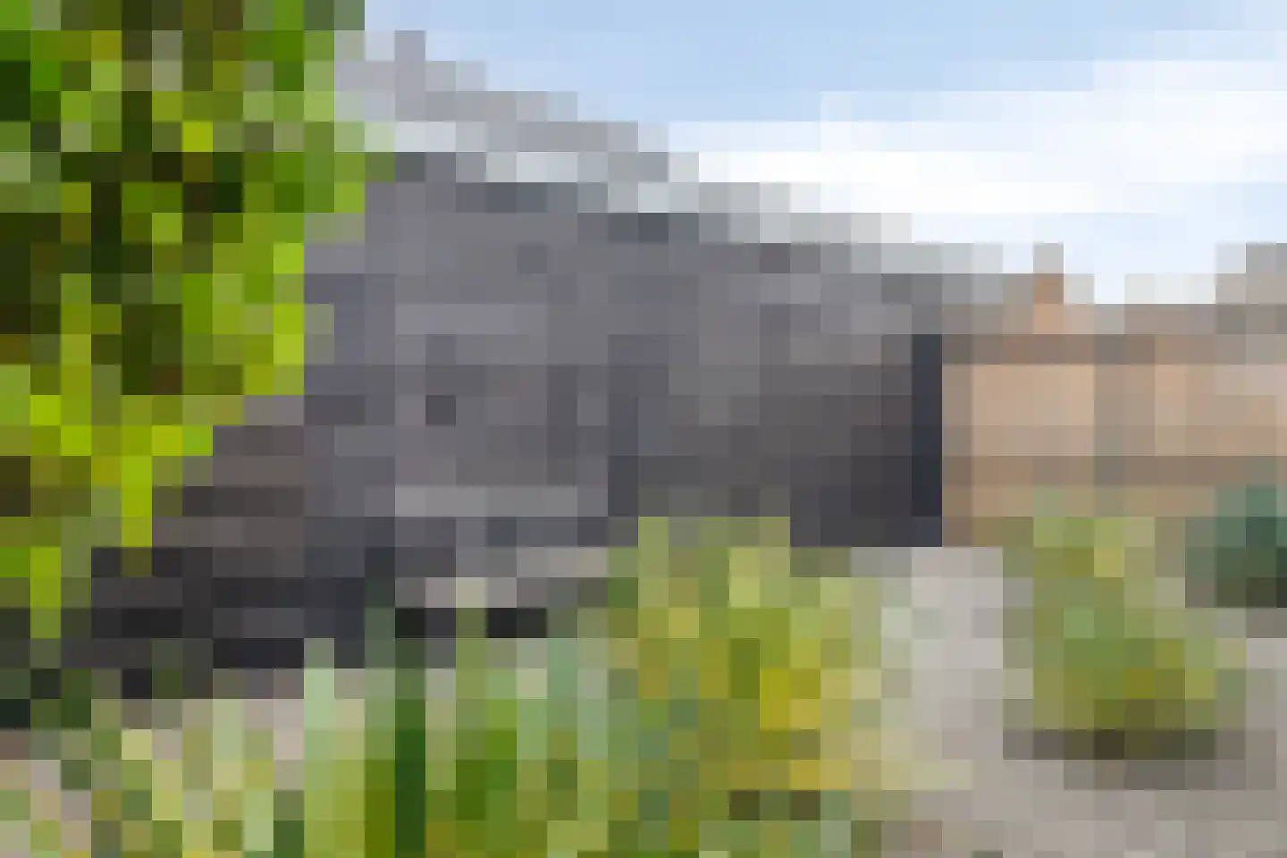 Willem de Zwijgerlaan 9 Woudenberg thumbnail 29