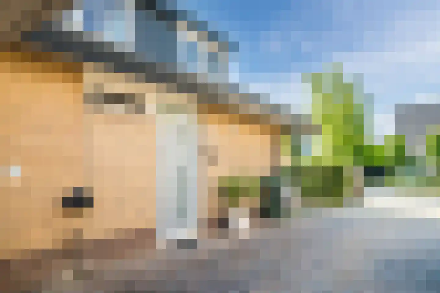 Willem de Zwijgerlaan 9 Woudenberg thumbnail 35