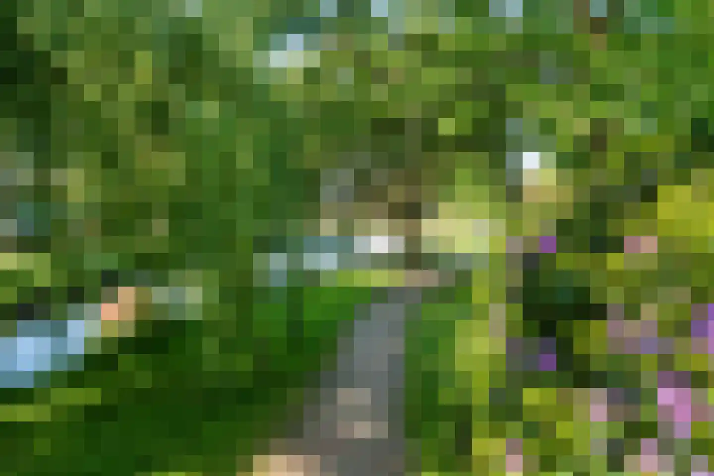Willem de Zwijgerlaan 9 Woudenberg thumbnail 41