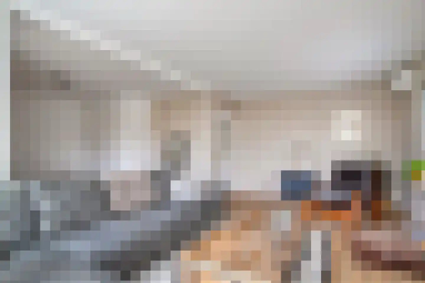 Willem de Zwijgerlaan 9 Woudenberg thumbnail 5