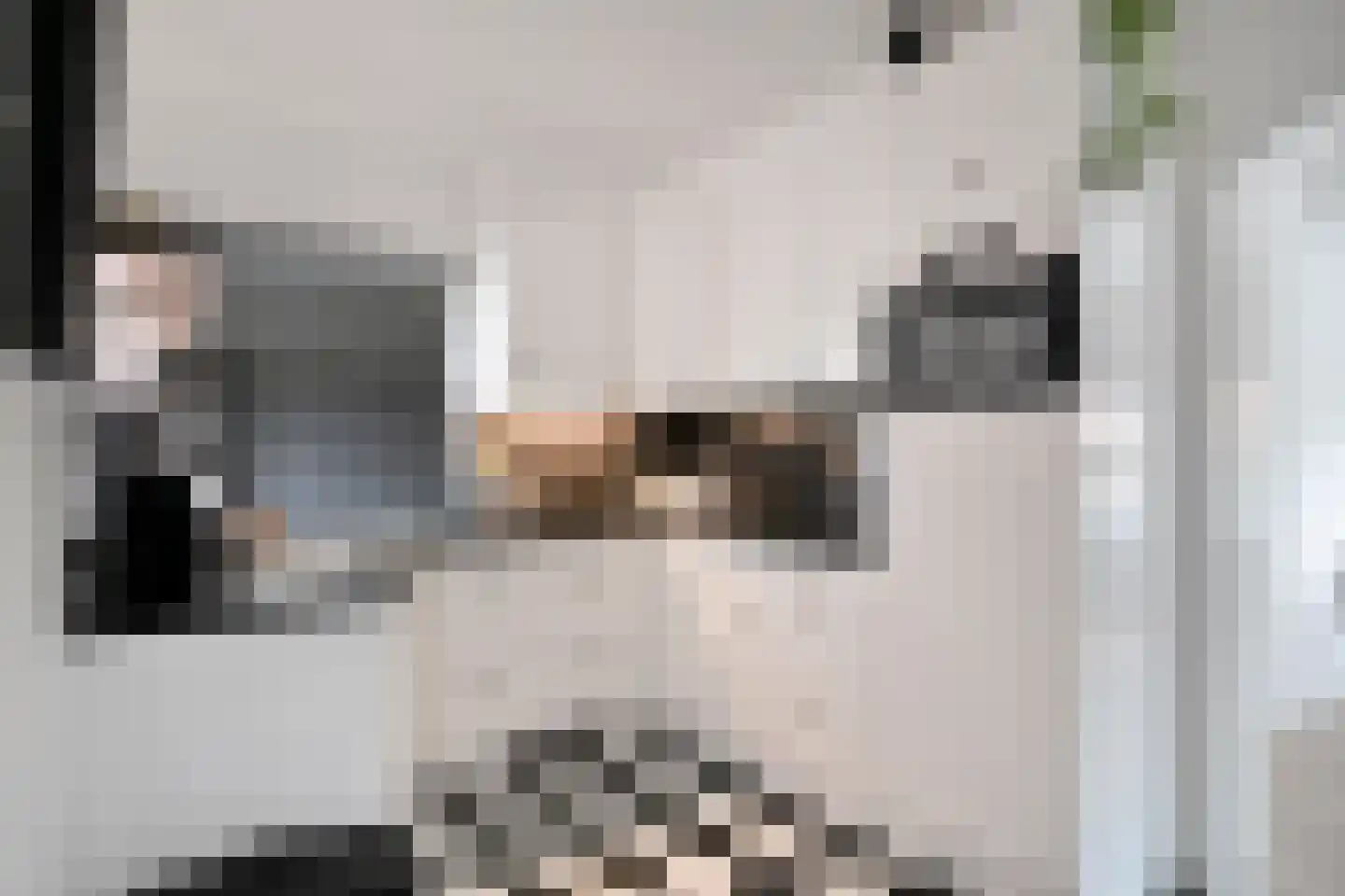 Willem de Zwijgerlaan 9 Woudenberg thumbnail 8