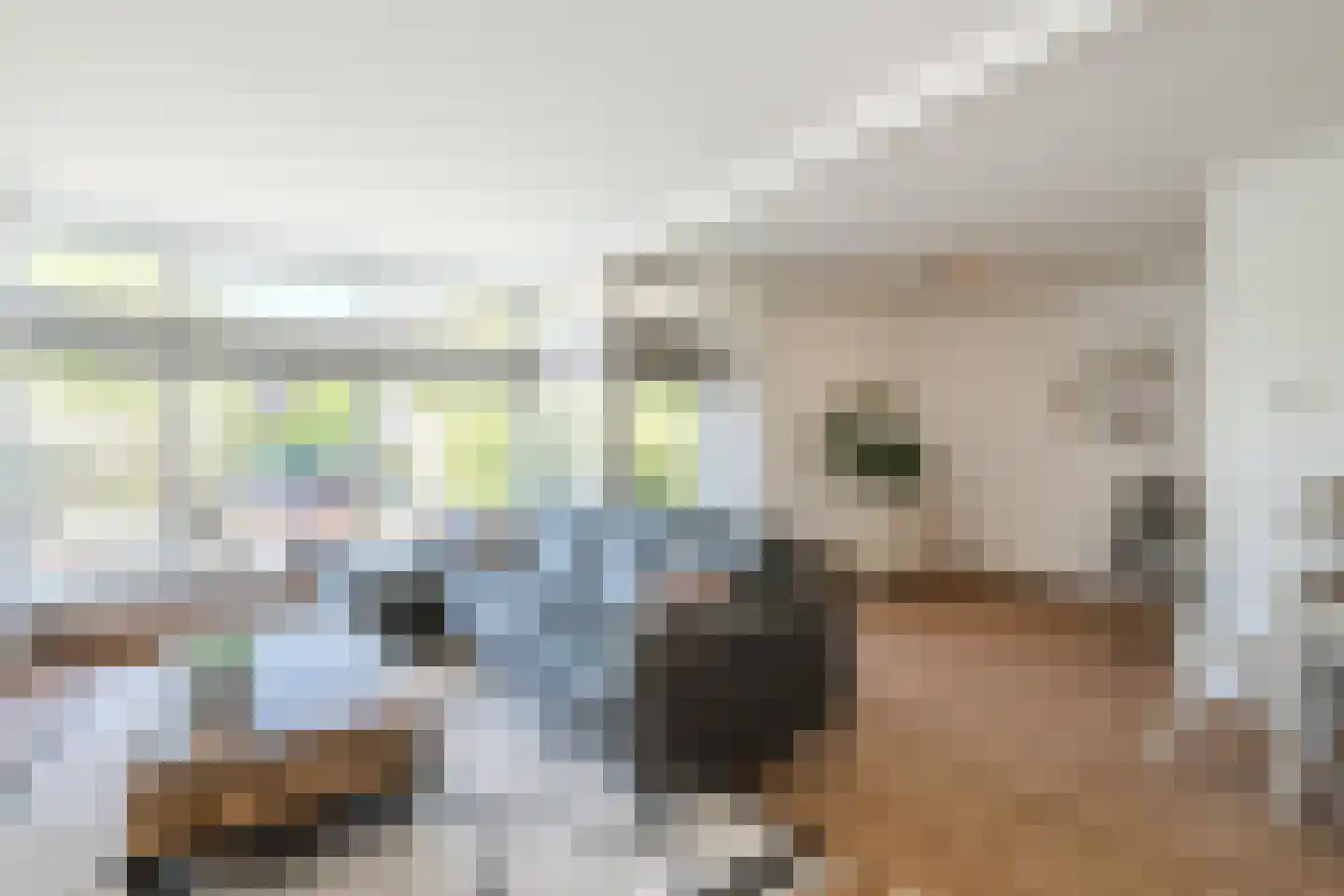 Willem de Zwijgerlaan 9 Woudenberg thumbnail 9