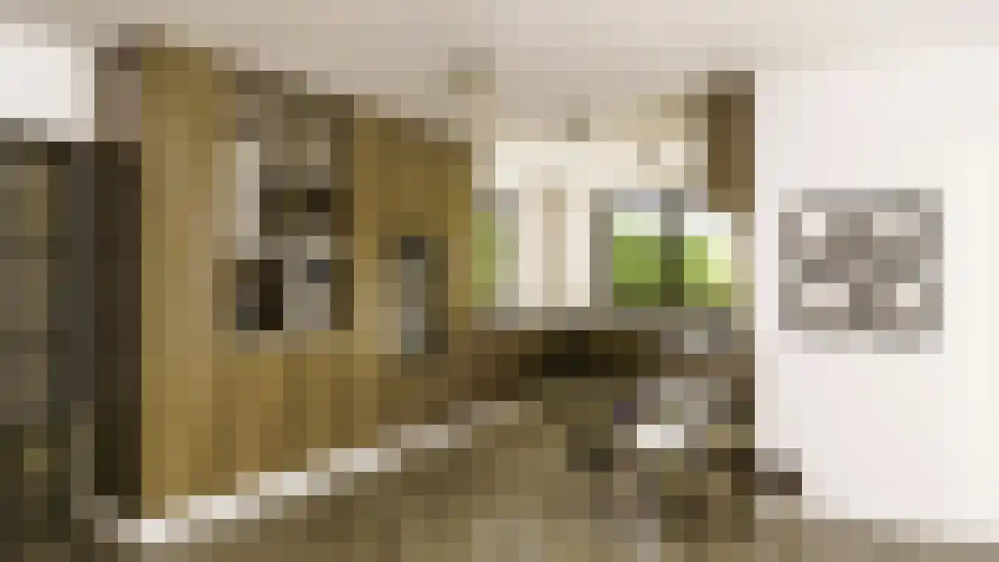 Willem de Zwijgerlaan 9 Zeist thumbnail 7