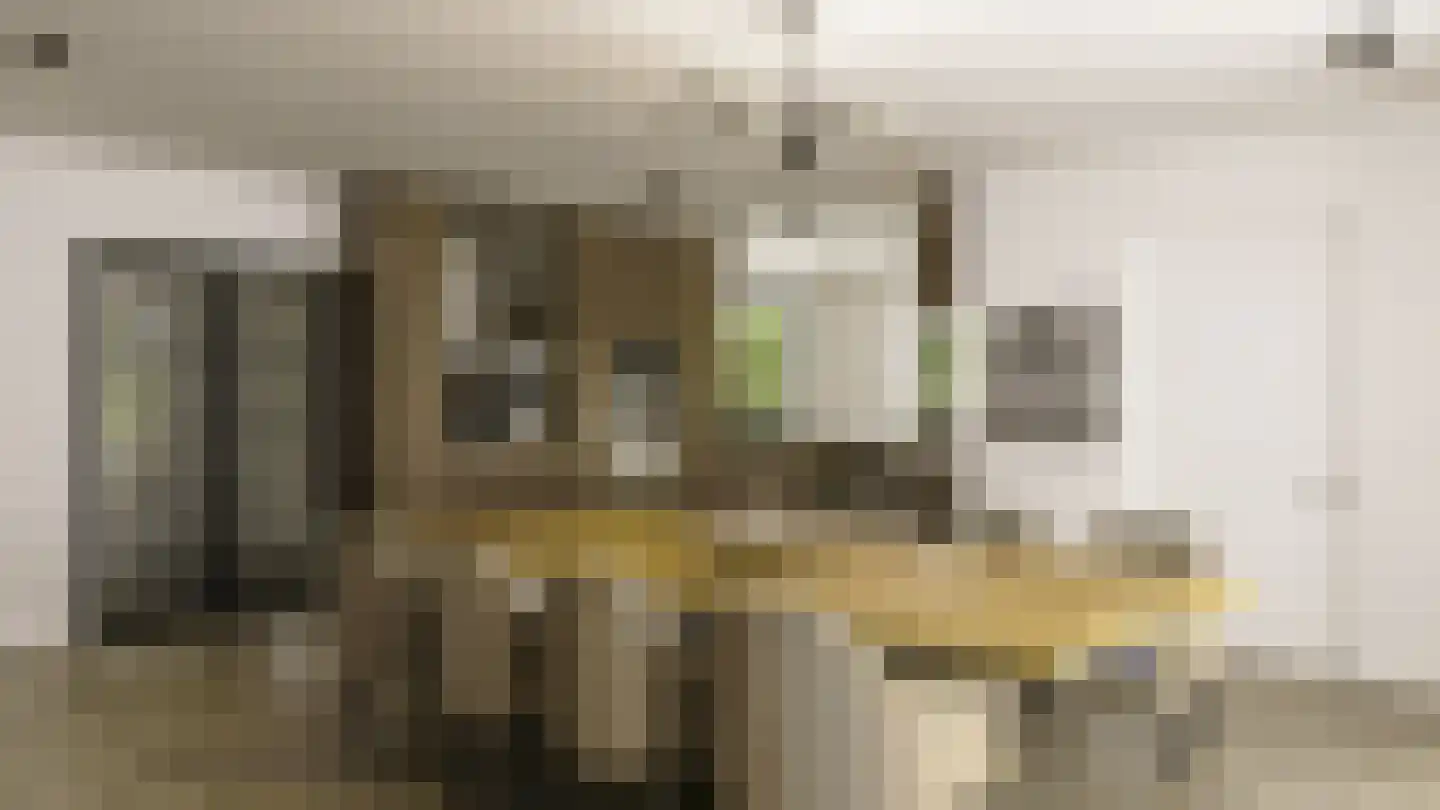 Willem de Zwijgerlaan 9 Zeist thumbnail 8