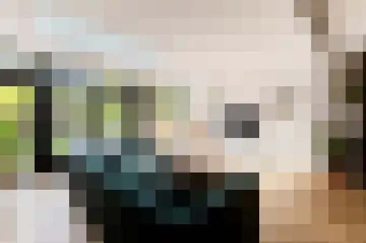 Willem de Zwijgerlaan 91 H Amsterdam thumbnail 7