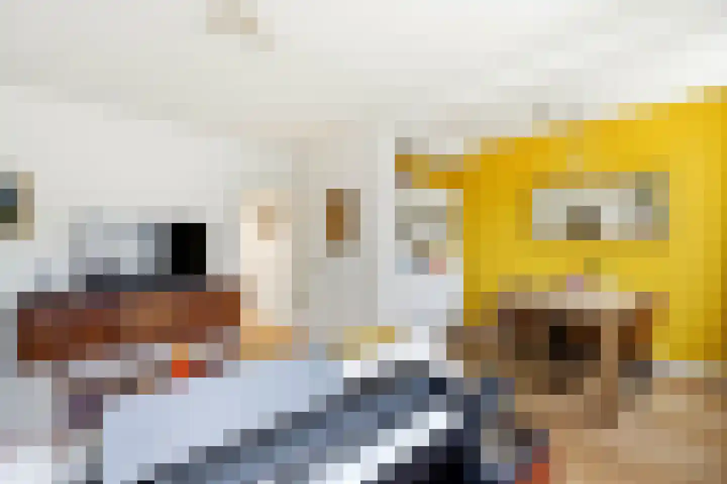 Willem de Zwijgerlaan 92 H Amsterdam thumbnail 6