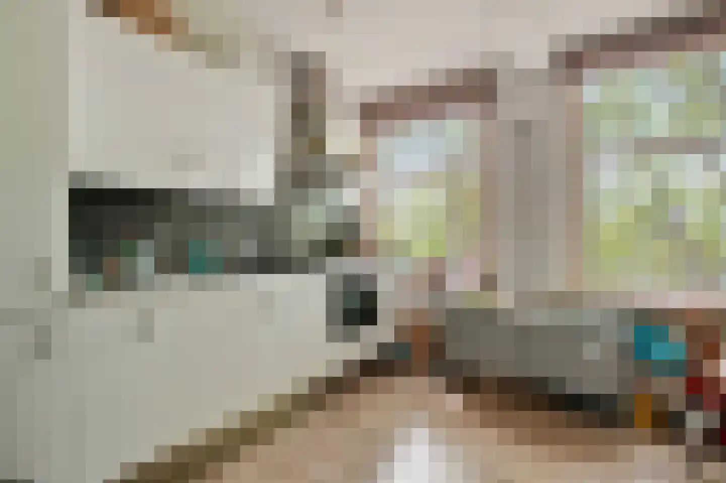Willem de Zwijgerlaan 92 H Amsterdam thumbnail 7