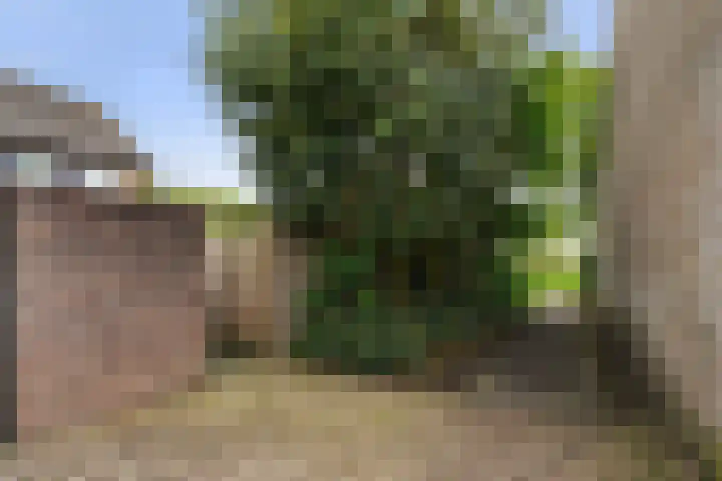 Willem de Zwijgerlaan 92 Oisterwijk thumbnail 52
