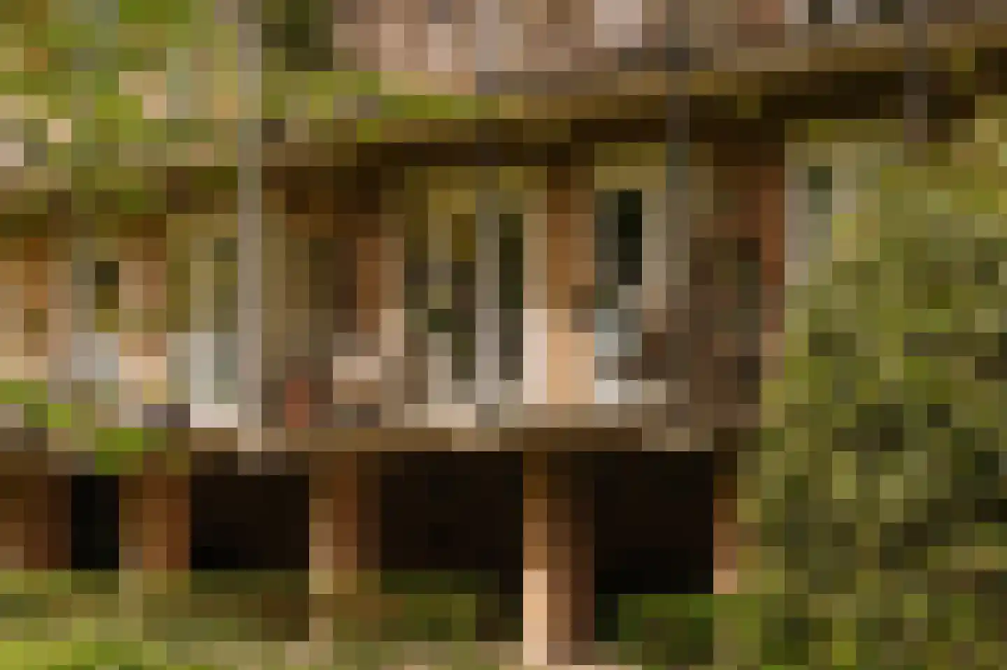 Willem de Zwijgerlaan 96 1 Amsterdam thumbnail 19
