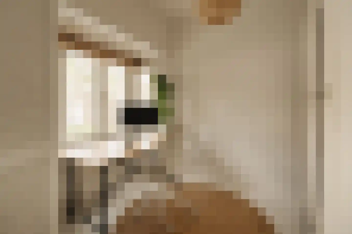 Willem de Zwijgerlaan 96 1 Amsterdam thumbnail 8