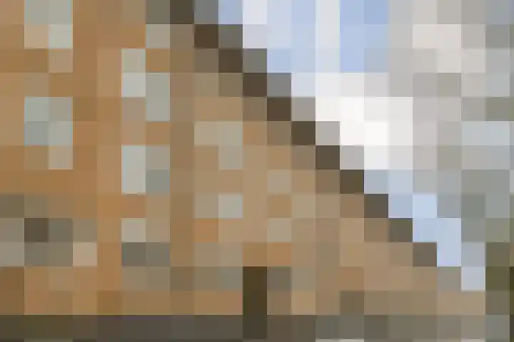 Willem de Zwijgerlaan 96 2 Amsterdam thumbnail 22