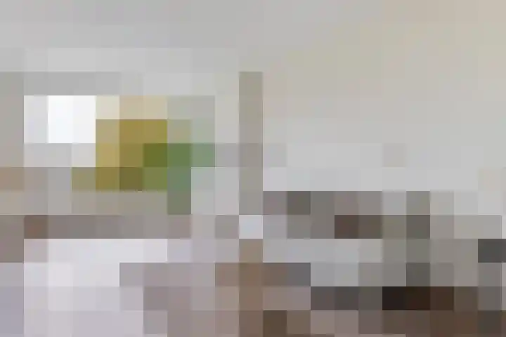 Willem de Zwijgersingel 144 Gouda thumbnail 11