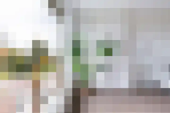 Willem de Zwijgersingel 144 Gouda thumbnail 14