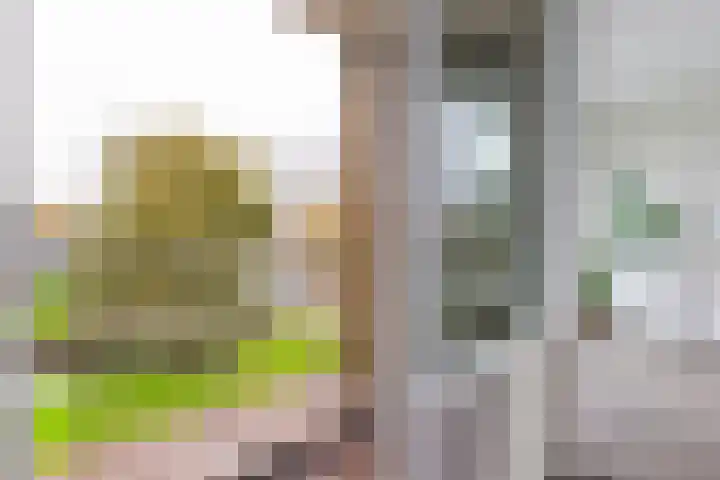Willem de Zwijgersingel 144 Gouda thumbnail 18