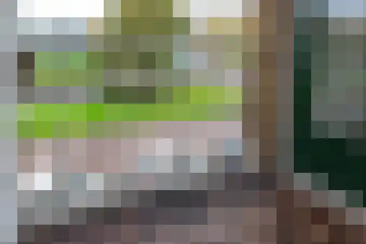 Willem de Zwijgersingel 144 Gouda thumbnail 19