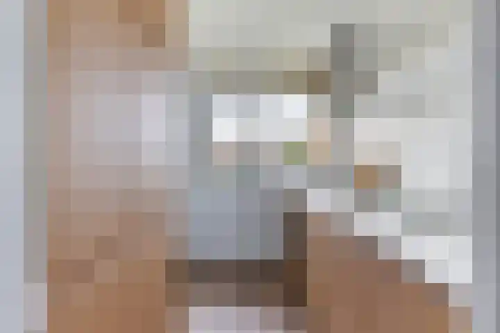Willem de Zwijgersingel 144 Gouda thumbnail 23