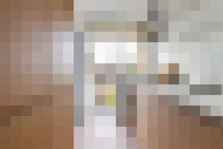 Willem de Zwijgersingel 144 Gouda thumbnail 24