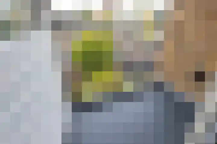 Willem de Zwijgersingel 144 Gouda thumbnail 27