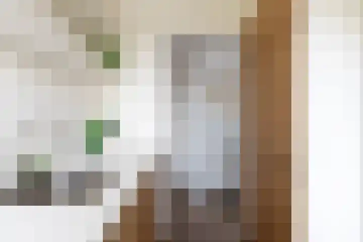 Willem de Zwijgersingel 144 Gouda thumbnail 30