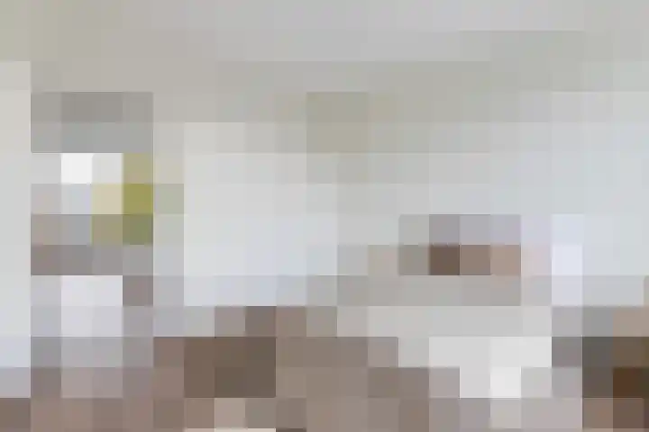 Willem de Zwijgersingel 144 Gouda thumbnail 38