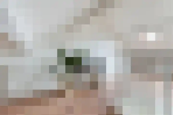 Willem de Zwijgersingel 144 Gouda thumbnail 45