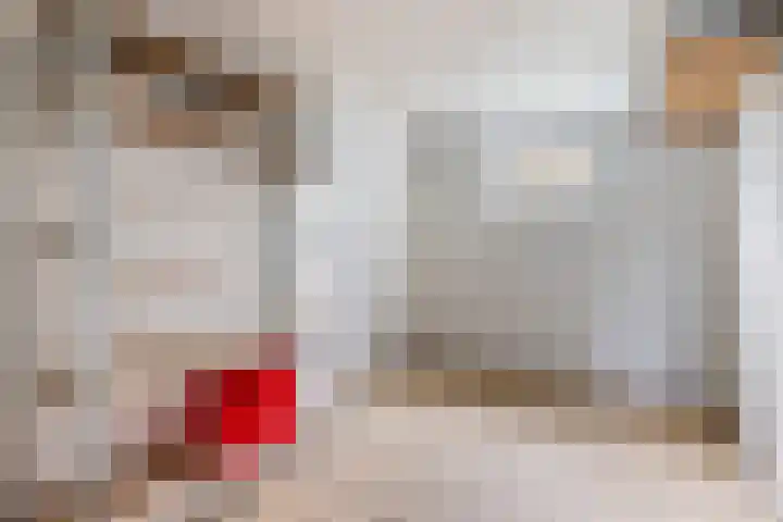 Willem de Zwijgersingel 144 Gouda thumbnail 46
