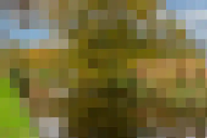 Willem de Zwijgersingel 144 Gouda thumbnail 47