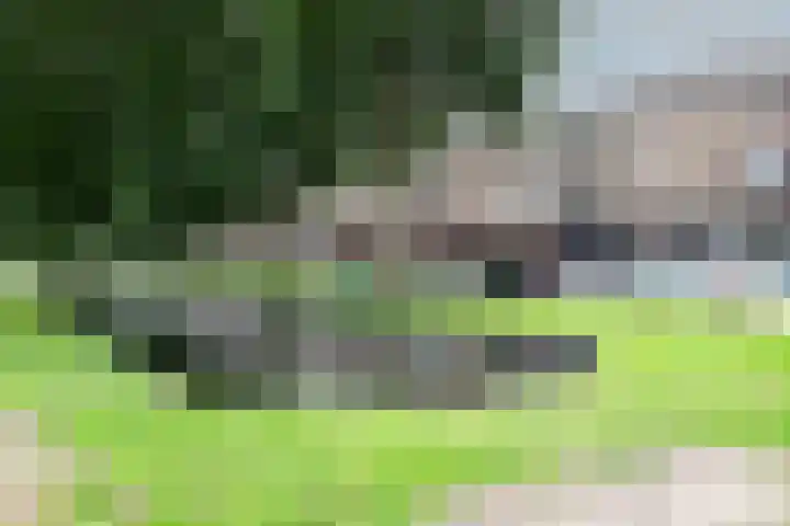 Willem de Zwijgersingel 144 Gouda thumbnail 48