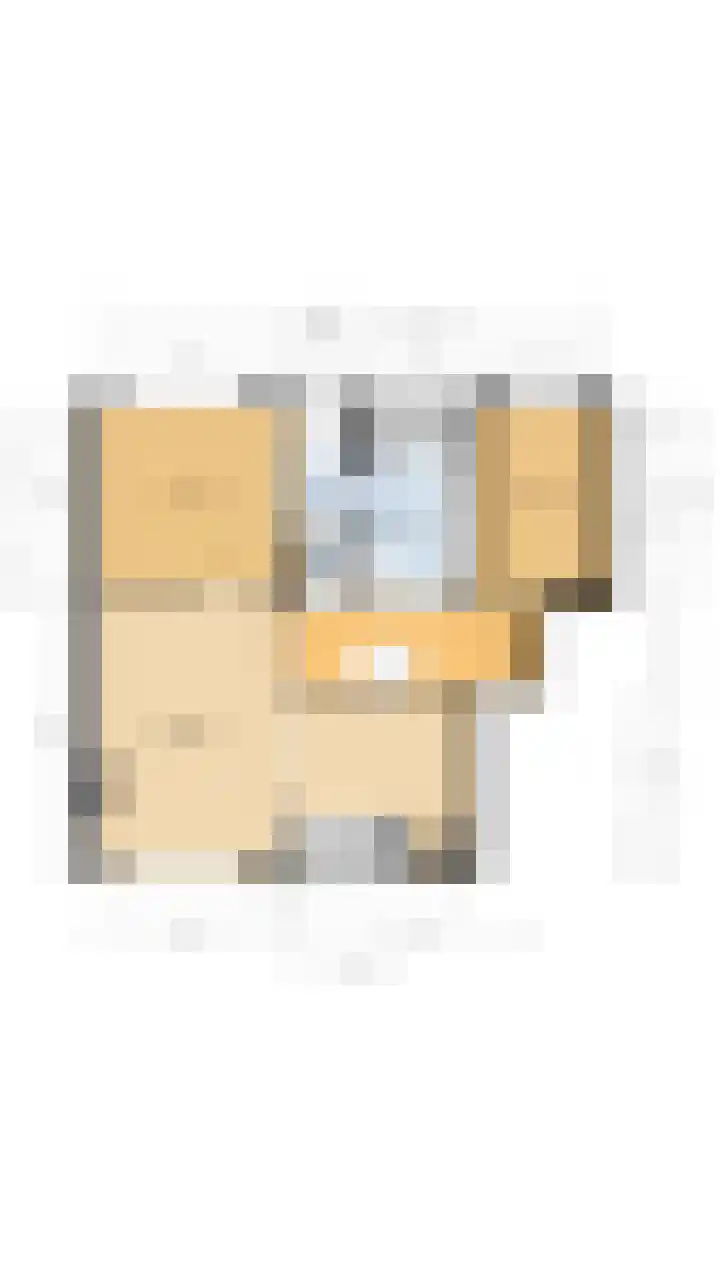 Willem de Zwijgersingel 144 Gouda thumbnail 49