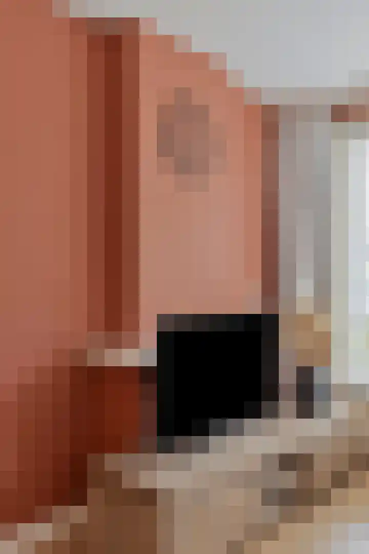 Willem de Zwijgersingel 148 Gouda thumbnail 12