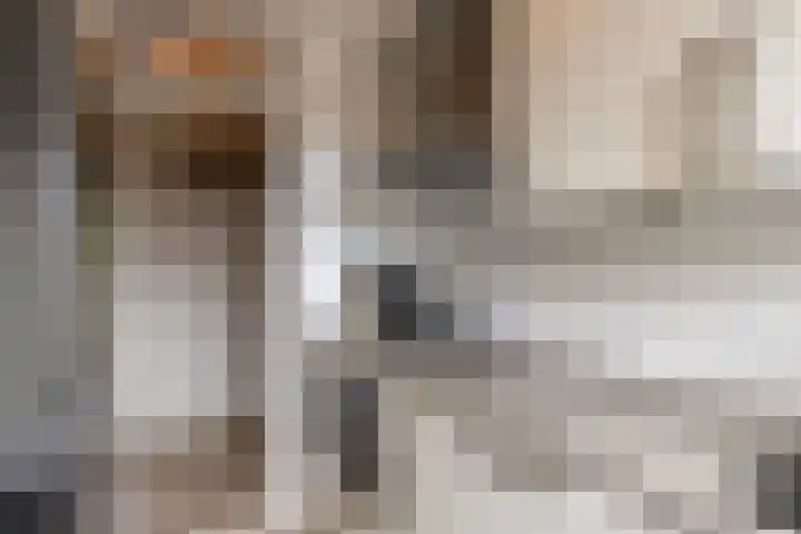 Willem de Zwijgersingel 148 Gouda thumbnail 14