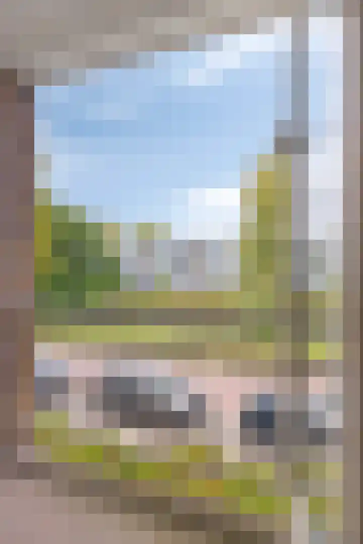 Willem de Zwijgersingel 148 Gouda thumbnail 19