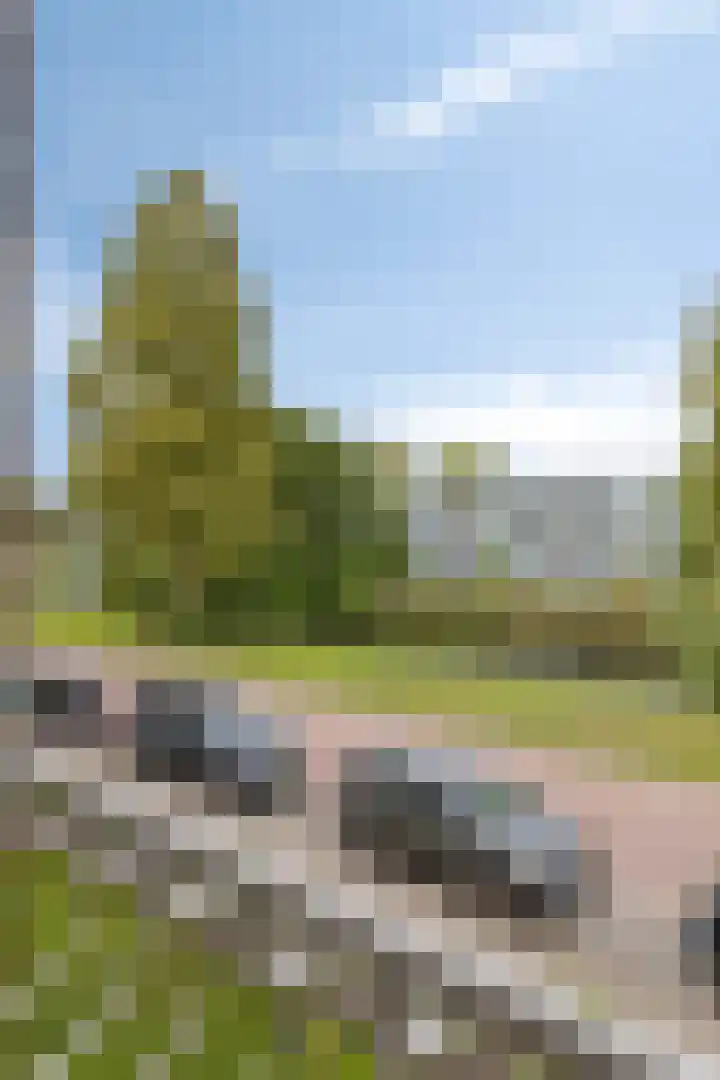 Willem de Zwijgersingel 148 Gouda thumbnail 20