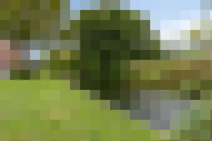 Willem de Zwijgersingel 148 Gouda thumbnail 23