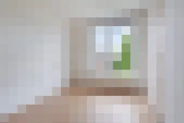 Willem de Zwijgersingel 206 Gouda thumbnail 14