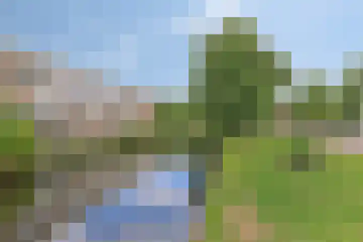 Willem de Zwijgersingel 206 Gouda thumbnail 22