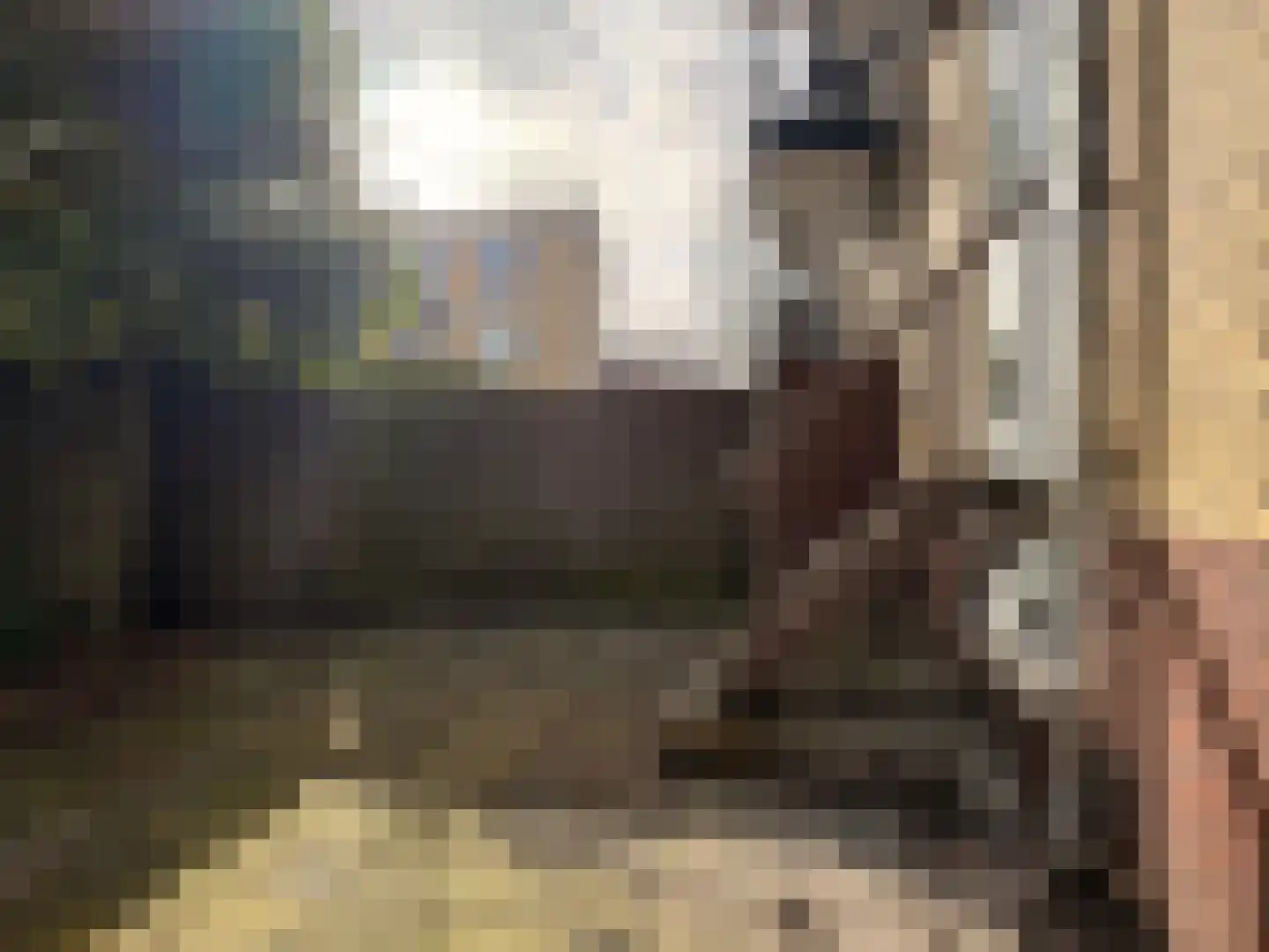 Willem de Zwijgersingel 214 Gouda thumbnail 18