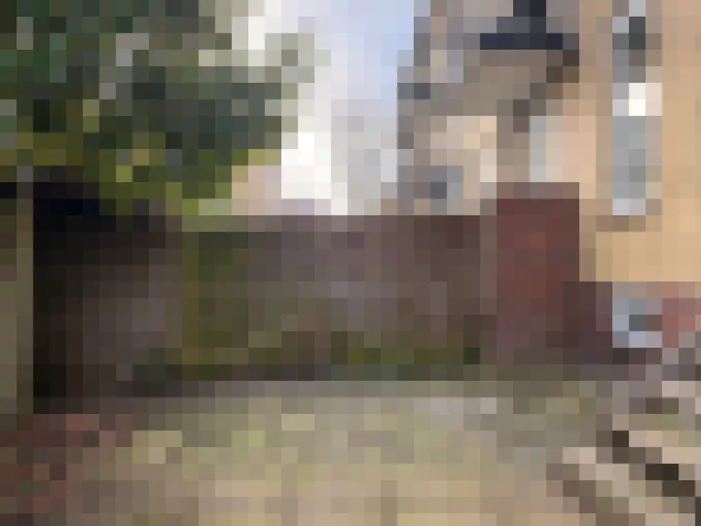 Willem de Zwijgersingel 214 Gouda thumbnail 20