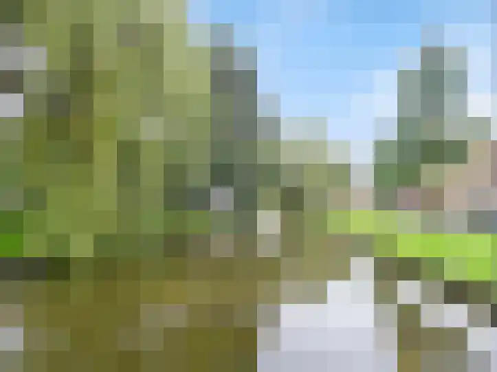 Willem de Zwijgersingel 214 Gouda thumbnail 23
