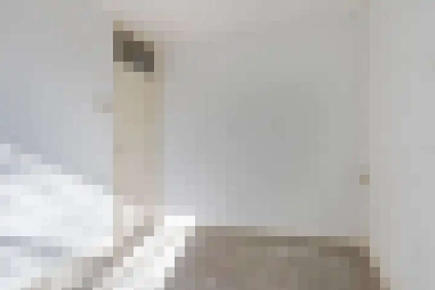 Willem de Zwijgersingel 214 Gouda thumbnail 8
