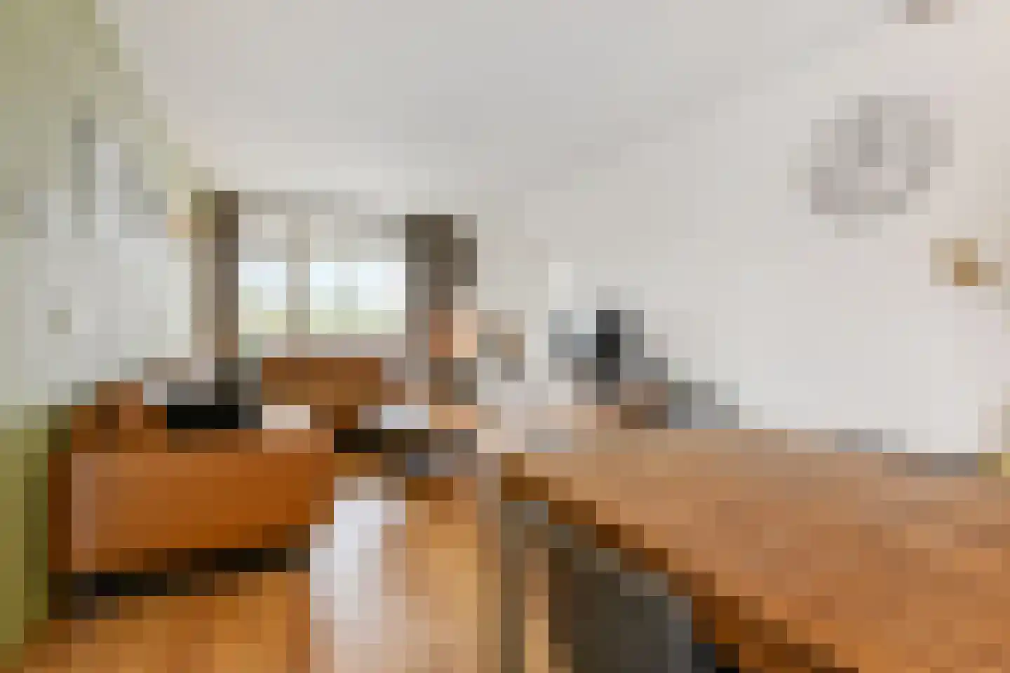 Willem de Zwijgersingel 46 Gouda thumbnail 11