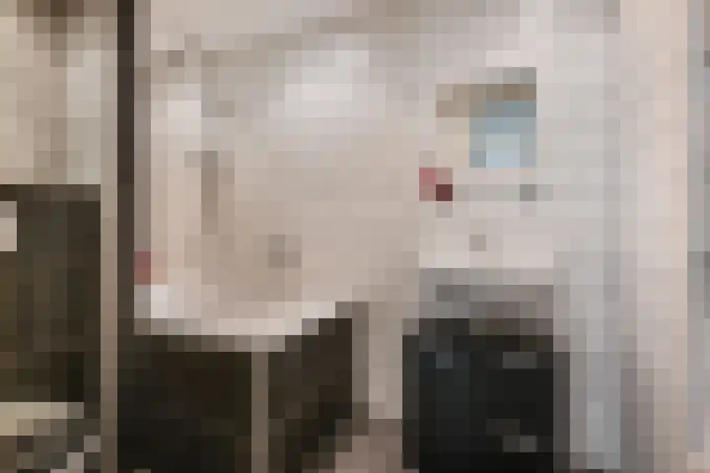Willem de Zwijgersingel 46 Gouda thumbnail 18