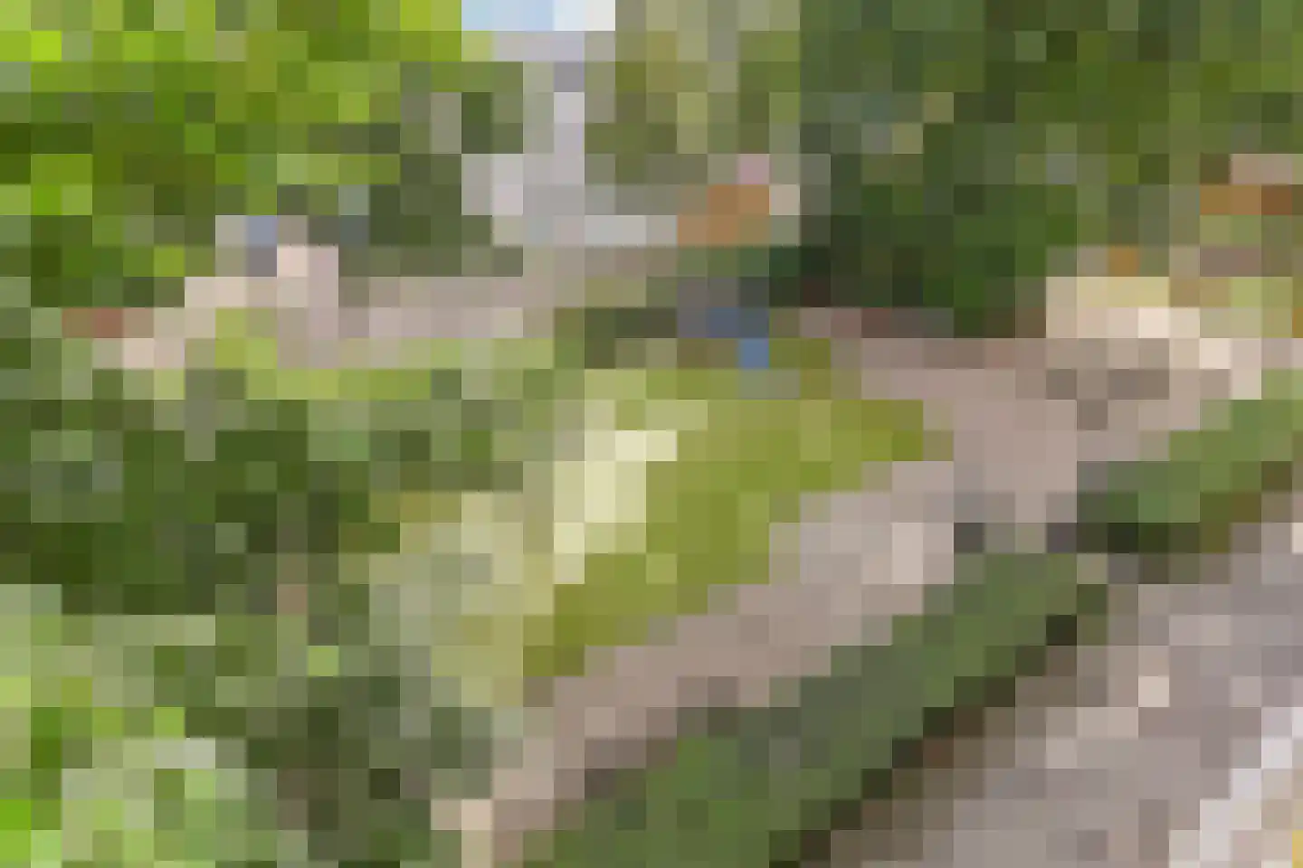 Willem de Zwijgersingel 46 Gouda thumbnail 26