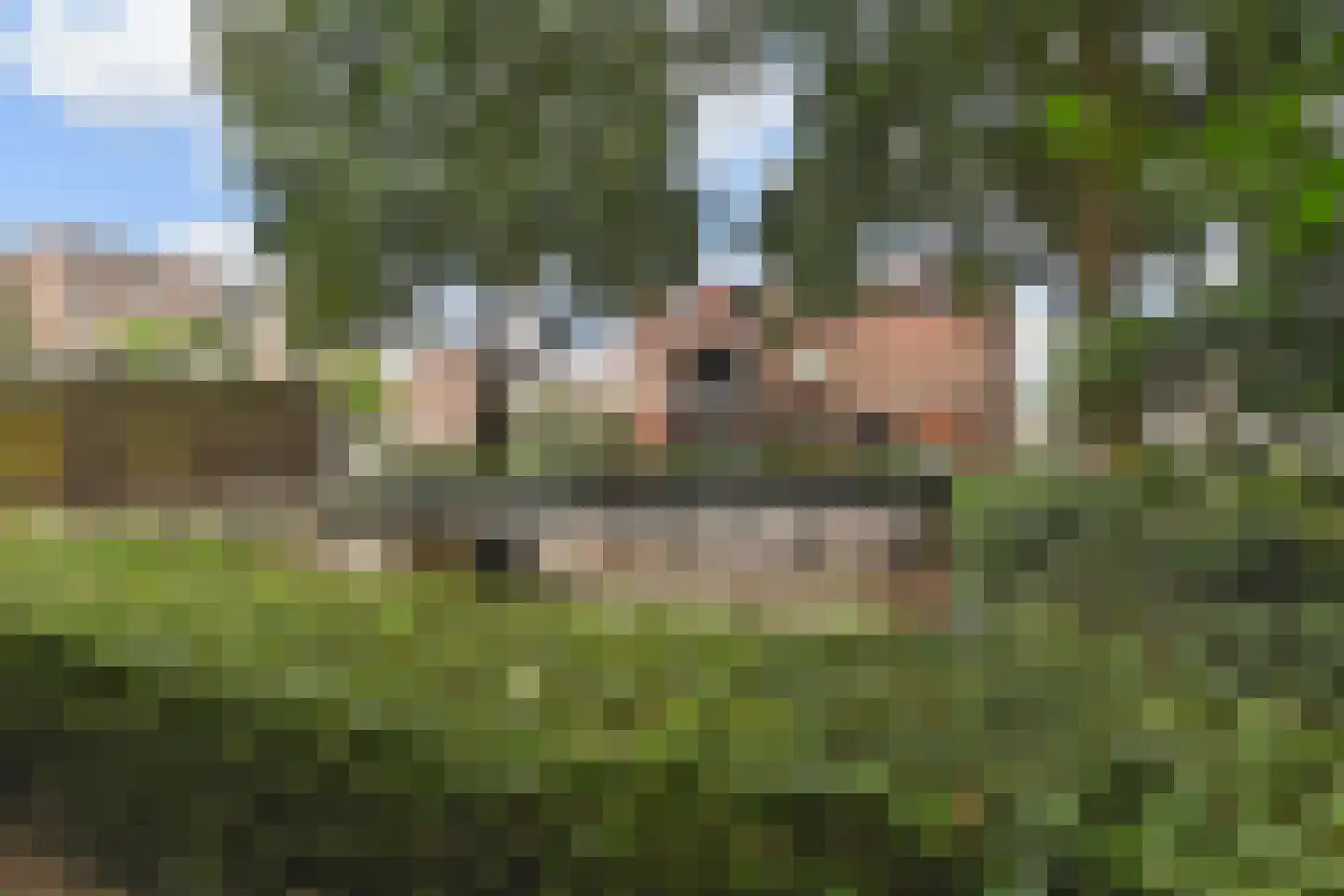 Willem de Zwijgersingel 46 Gouda thumbnail 30