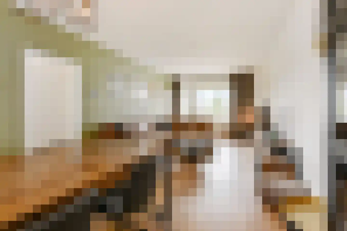 Willem de Zwijgersingel 46 Gouda thumbnail 4