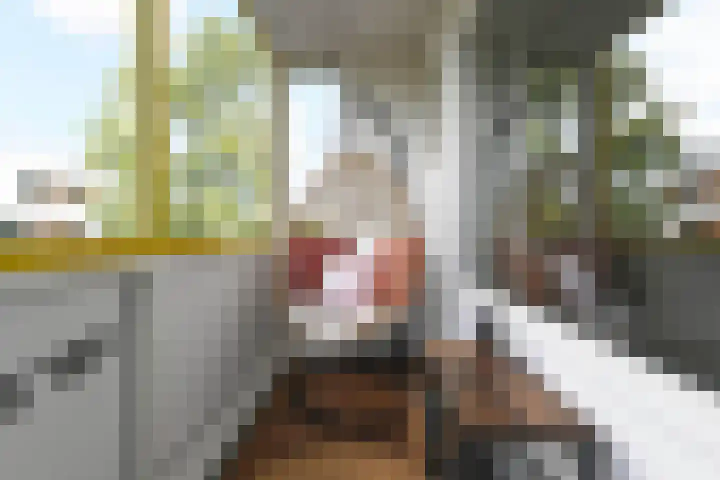 Willem de Zwijgersingel 46 Gouda thumbnail 5
