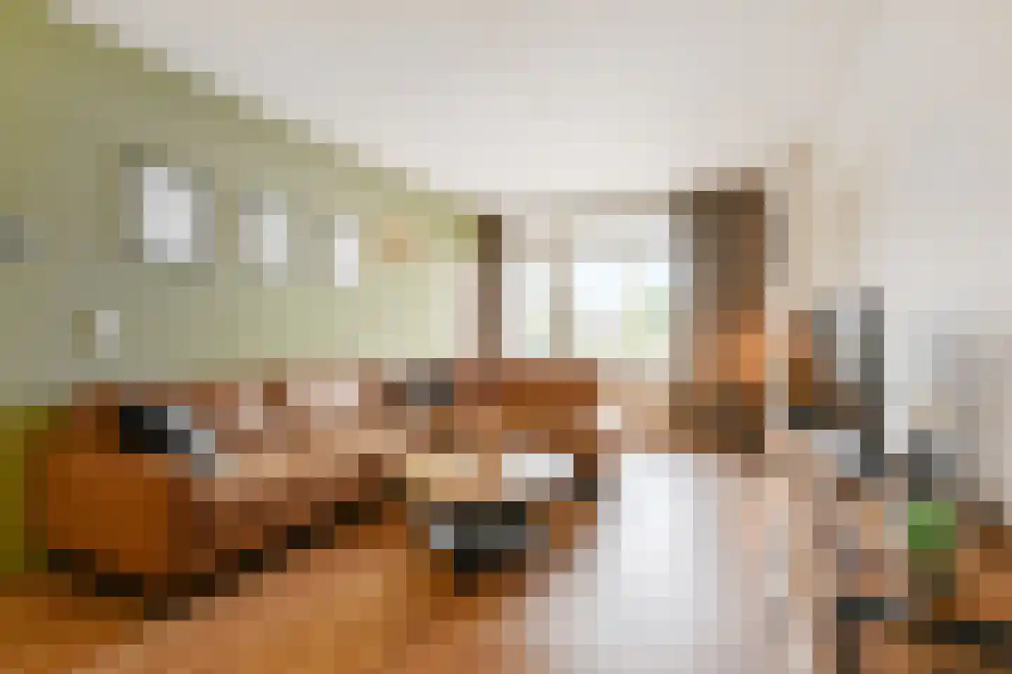 Willem de Zwijgersingel 46 Gouda thumbnail 9