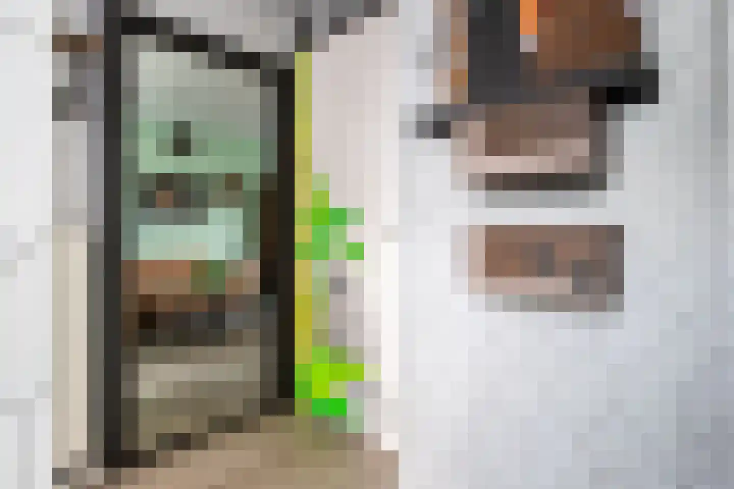 Willem de Zwijgersingel 54 Gouda thumbnail 12