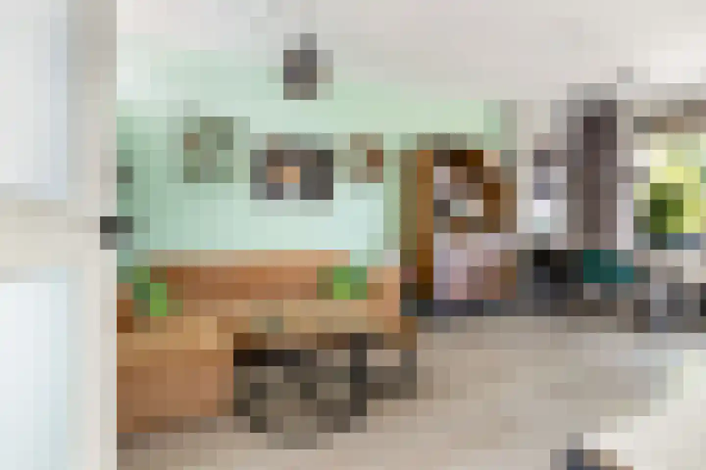 Willem de Zwijgersingel 54 Gouda thumbnail 13