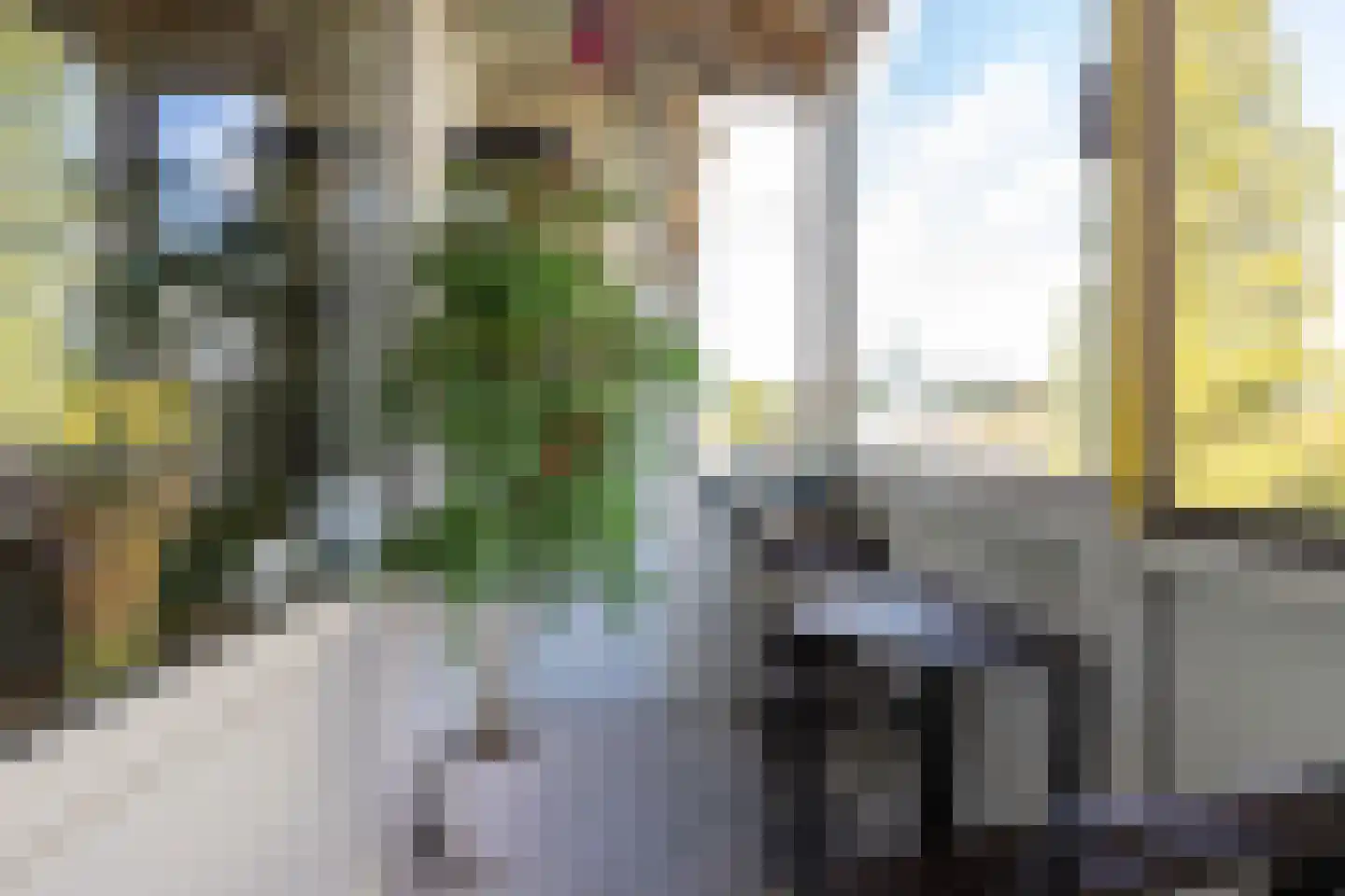 Willem de Zwijgersingel 54 Gouda thumbnail 16